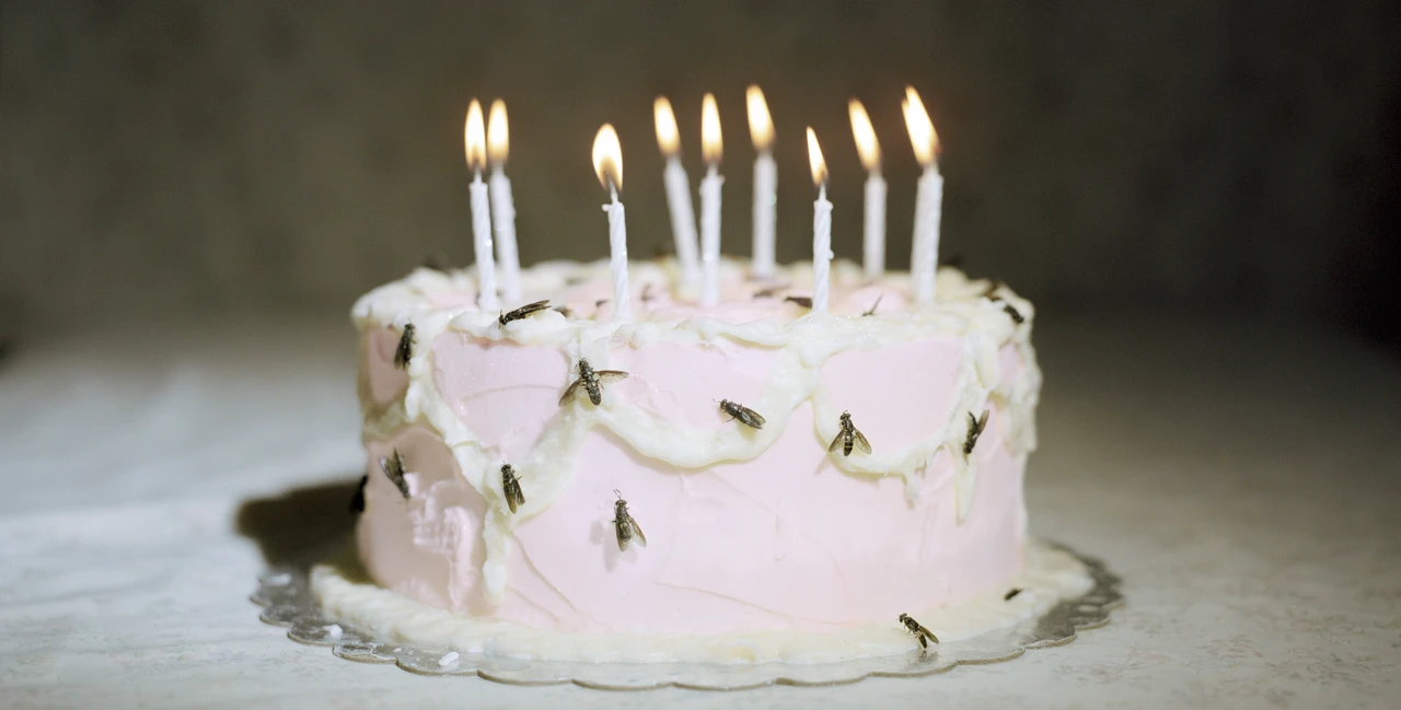 LEXI HIDE, STYLING MEMORY IN EVERY FRAME