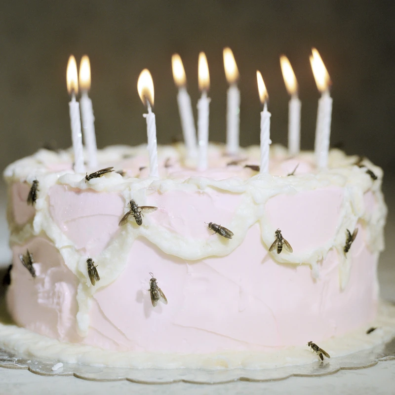 LEXI HIDE, STYLING MEMORY IN EVERY FRAME